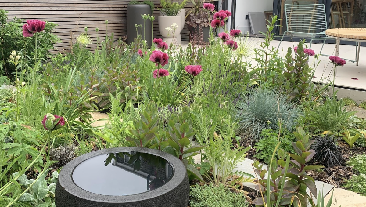 How Mo Helmi Builds Urban Environments That Thrive – Hollywood Life