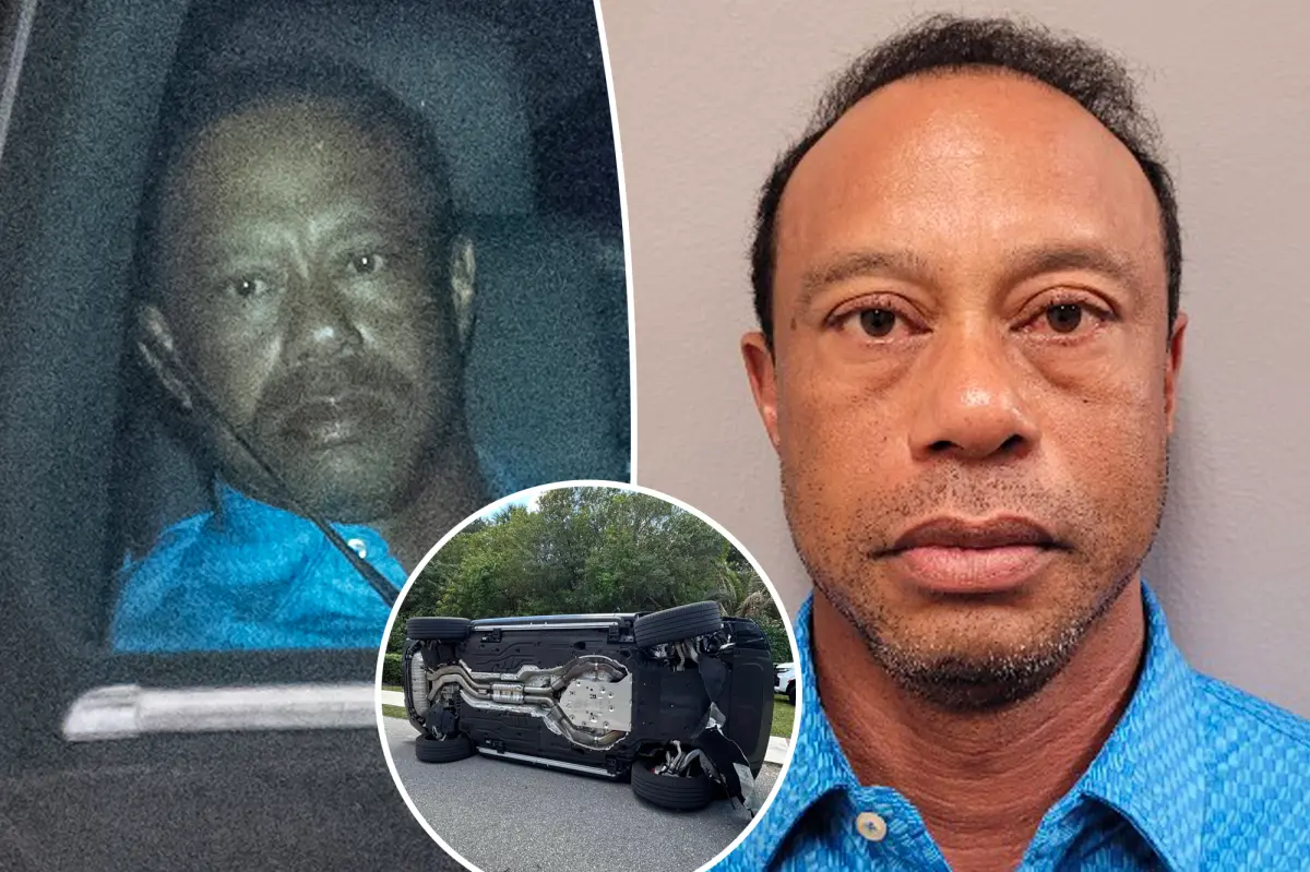 Tiger Woods peers push for ‘accountability’ after DUI arrest