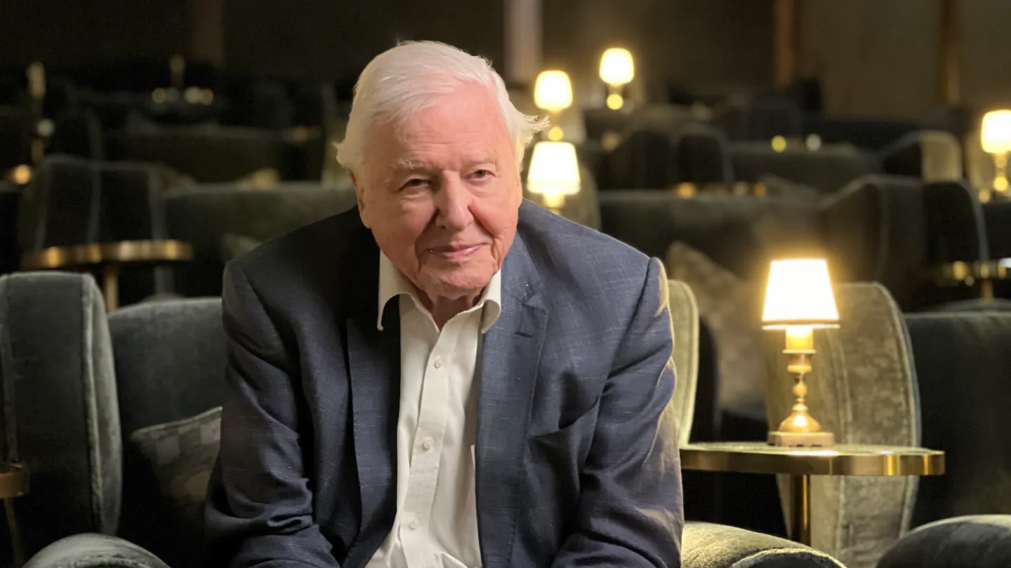 PBS, ITVS Launch Documentaries YouTube Channel