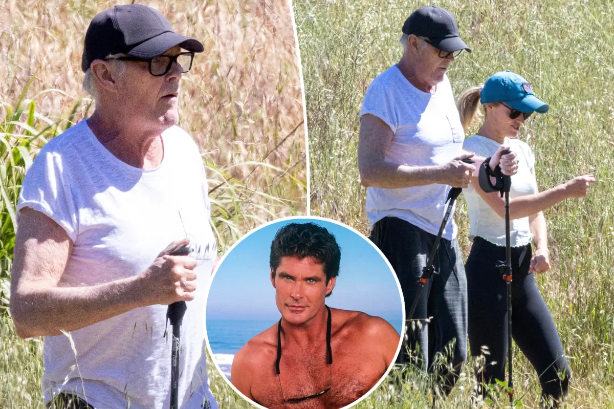 David Hasselhoff, 73, seen on rare outing with wife Hayley Roberts