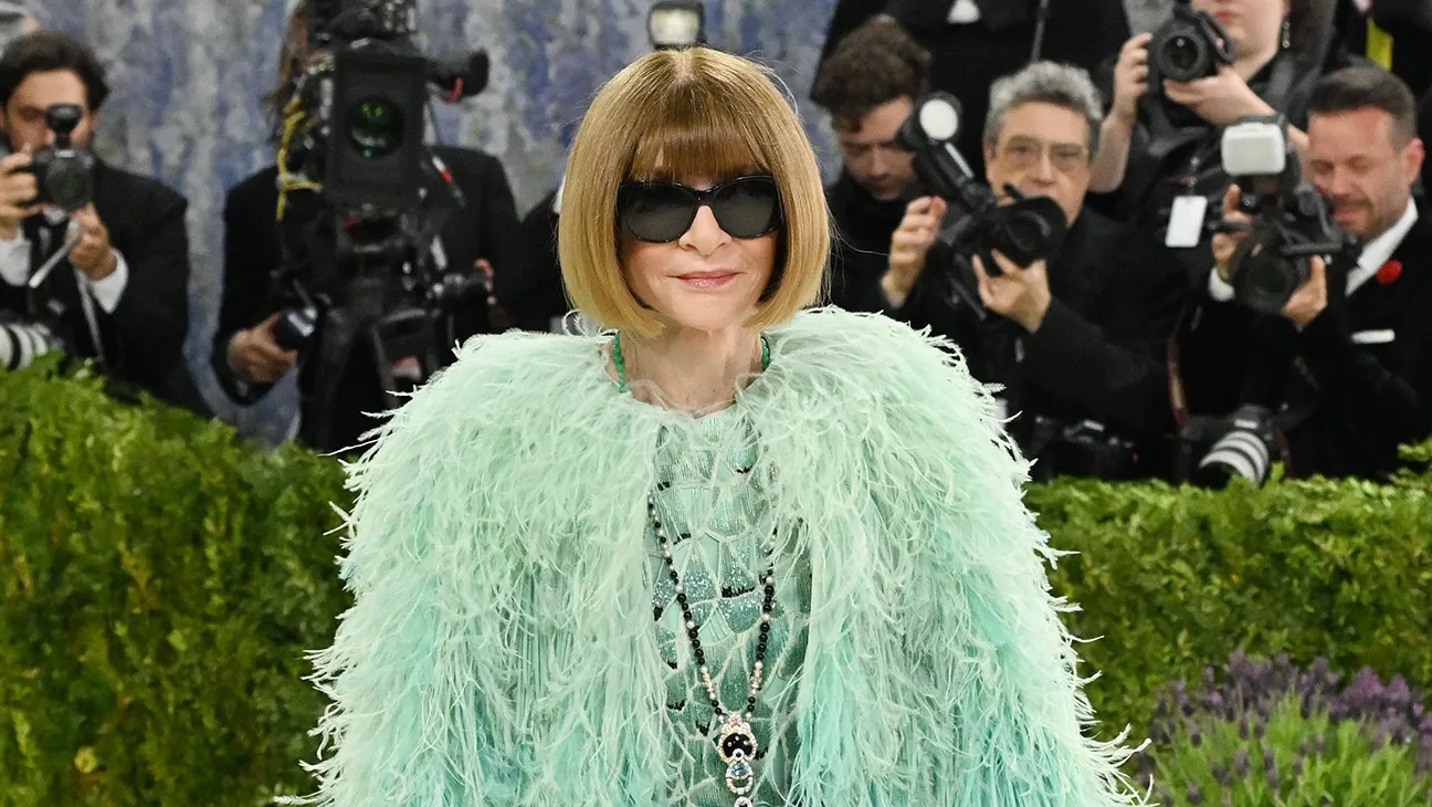 Met Gala Red Carpet 2026 Looks and Arrivals (Photos)