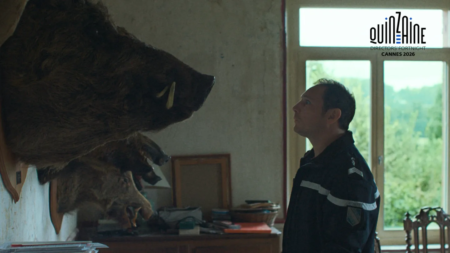 Original, Gripping Rural French Crime Comedy
