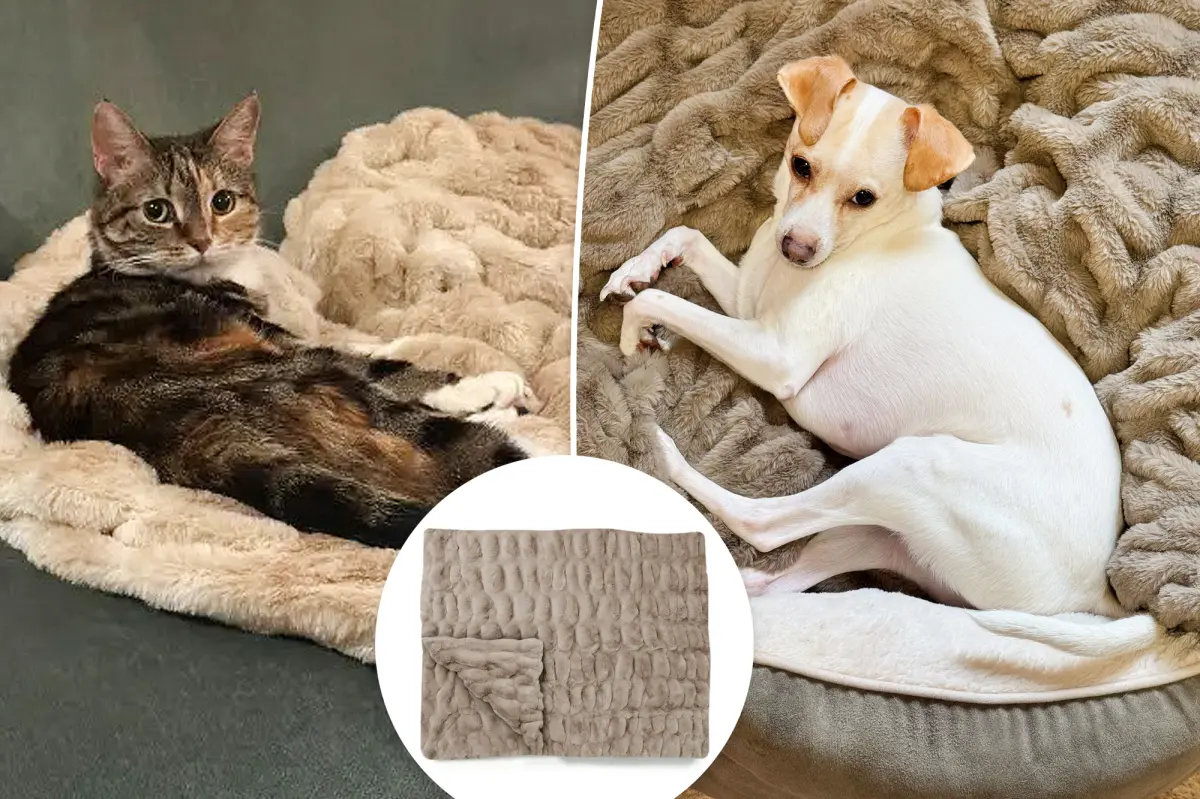Page Six editors swear by Lola Blankets — and they make great gifts